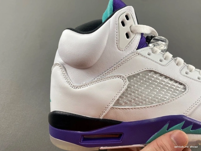 Cheap Air Grape 5 Jordan 136027-108 (2013) Retro 0817